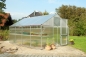 Gewchshaus Orchidee