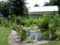 Gewchshaus Orchidee